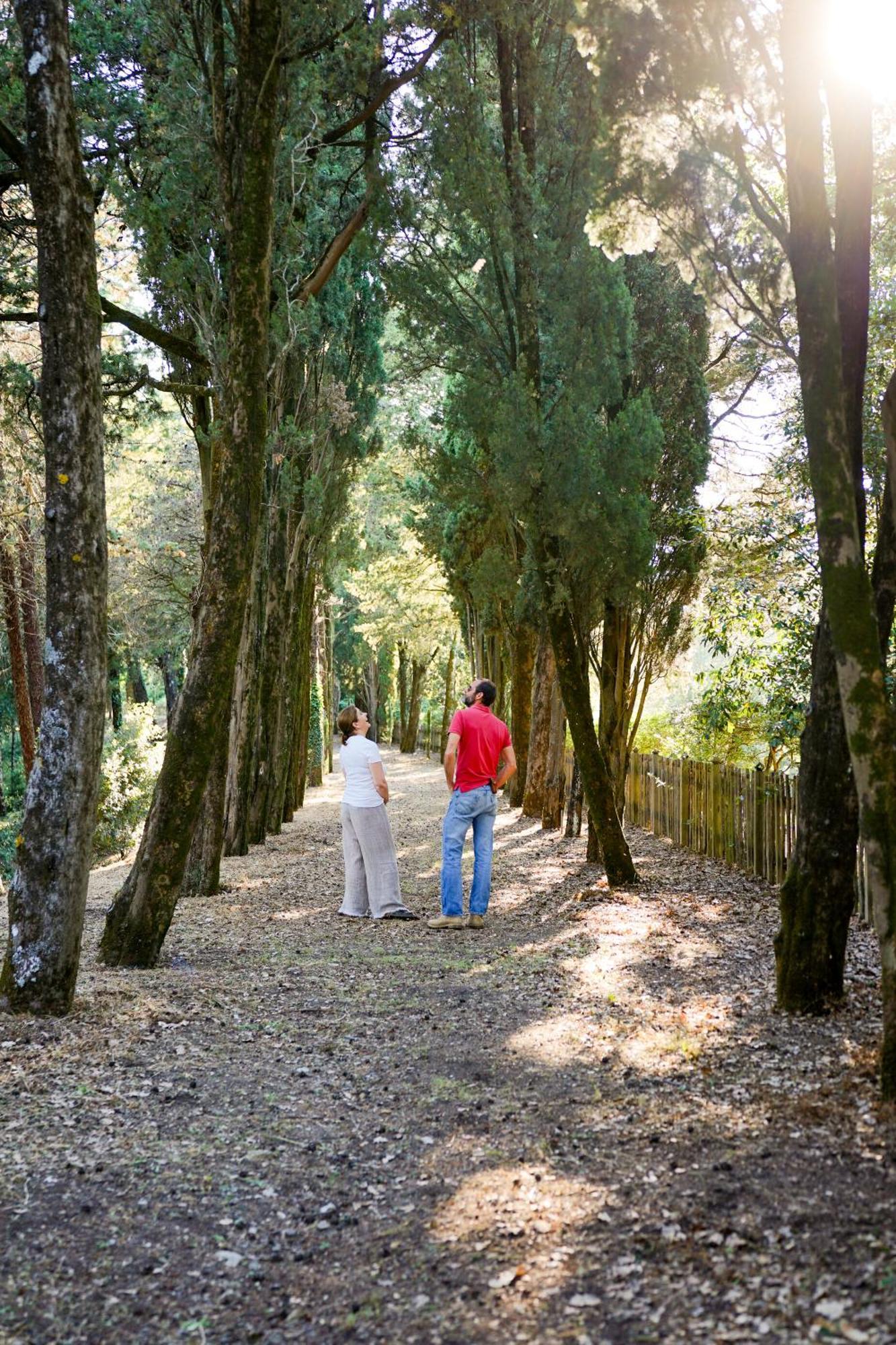 Borgo Di Camporsevoli Villa Luaran gambar